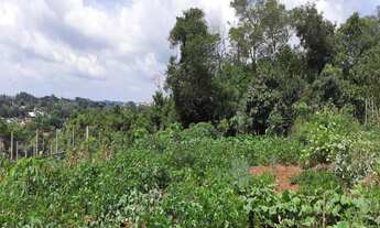 Imagem 2: TERRENO RESIDENCIAL em NOVA PETRÓPOLIS - RS, Piá