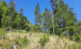 Imagem 2: SITIO RURAL em NOVA PETRÓPOLIS - RS, Linha Pirajá Baixa