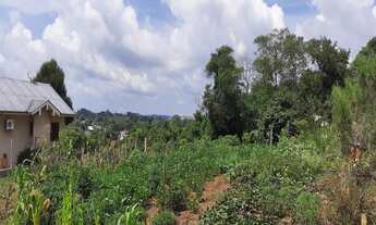 Imagem: TERRENO RESIDENCIAL em NOVA PETRÓPOLIS