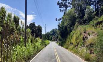 Imagem: AREA RURAL em NOVA PETRÓPOLIS - RS, Linha
