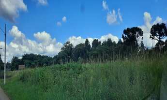 Imagem 6: AREA RESIDENCIAL em NOVA PETRÓPOLIS - RS, Germânia
