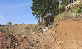 Imagem 3: TERRENO RESIDENCIAL em Nova Petrópolis - RS, Germânia