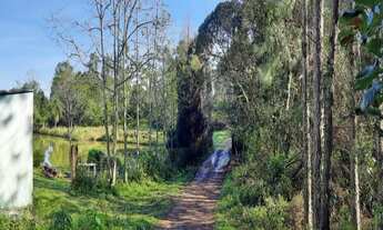 Imagem: AREA RURAL em NOVA PETRÓPOLIS - RS, BR