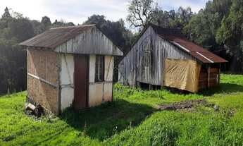 Imagem 5: SITIO RURAL em NOVA PETRÓPOLIS - RS, Linha Olinda
