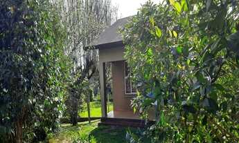 Imagem 3: SITIO RURAL em NOVA PETRÓPOLIS - RS, Linha Olinda