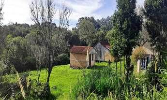 Imagem: SITIO RURAL em NOVA PETRÓPOLIS - RS, Linha