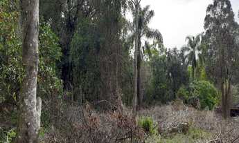Imagem 3: TERRENO RESIDENCIAL em NOVA PETRÓPOLIS - RS, Pousada da Neve