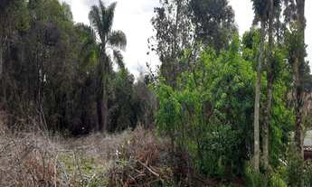Imagem 5: TERRENO RESIDENCIAL em NOVA PETRÓPOLIS - RS, Pousada da Neve