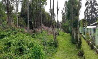 Imagem 4: TERRENO RESIDENCIAL em NOVA PETRÓPOLIS - RS, Pousada da Neve