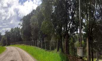 Imagem: AREA RURAL em NOVA PETRÓPOLIS - RS, Linha