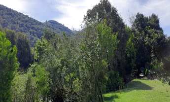 Imagem 5: AREA RURAL em NOVA PETRÓPOLIS - RS, Linha Temerária