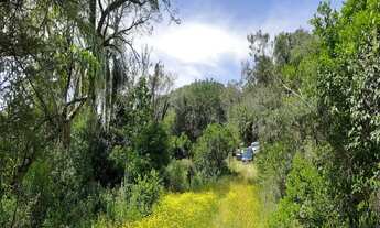 Imagem 3: AREA RURAL em NOVA PETRÓPOLIS - RS, Linha Temerária