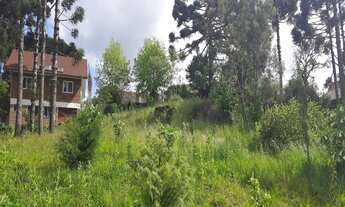 Imagem: TERRENO RESIDENCIAL em NOVA PETRÓPOLIS