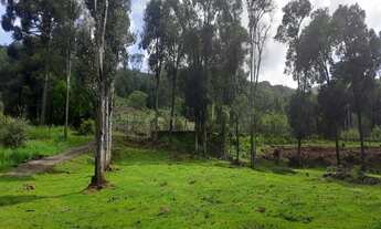 Imagem 7: AREA RURAL em NOVA PETRÓPOLIS - RS, Linha Imperial