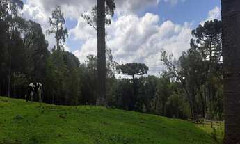 Imagem 5: AREA RURAL em NOVA PETRÓPOLIS - RS, Linha Imperial