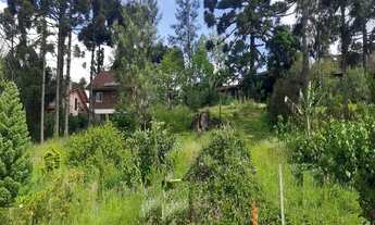 Imagem: TERRENO RESIDENCIAL em NOVA PETRÓPOLIS