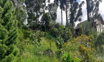 Imagem: TERRENO RESIDENCIAL em Nova Petrópolis
