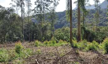Imagem: AREA RURAL em NOVA PETRÓPOLIS - RS, Arroio