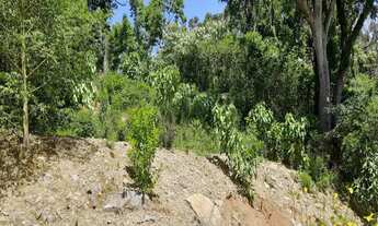 Imagem: TERRENO RESIDENCIAL em NOVA PETRÓPOLIS