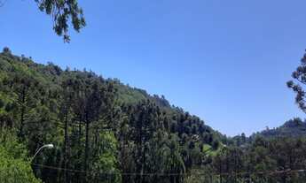 Imagem 5: TERRENO RESIDENCIAL em NOVA PETRÓPOLIS - RS, Linha Imperial