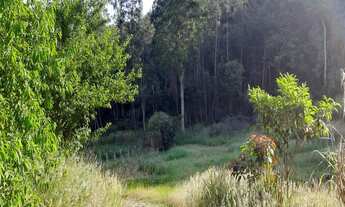 Imagem 2: AREA RURAL em NOVA PETRÓPOLIS - RS, Bavaria