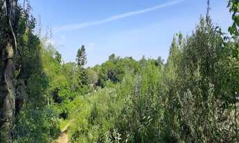 Imagem 3: AREA RURAL em NOVA PETRÓPOLIS - RS, Bavaria