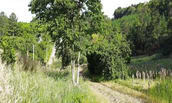 Imagem 4: AREA RURAL em NOVA PETRÓPOLIS - RS, Bavaria