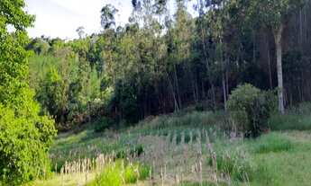 Imagem: AREA RURAL em NOVA PETRÓPOLIS - RS, Bavaria