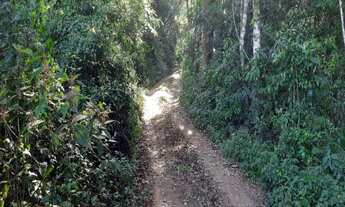 Imagem 7: AREA RURAL em NOVA PETRÓPOLIS - RS, Bavaria