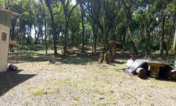 Imagem 3: AREA RURAL em Gramado - RS, Lageana