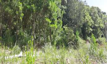 Imagem 5: TERRENO RESIDENCIAL em NOVA PETRÓPOLIS - RS, Linha Imperial