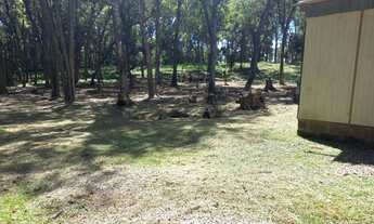 Imagem 4: AREA RURAL em Gramado - RS, Lageana