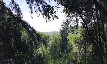 Imagem: AREA RURAL em GRAMADO - RS, Lageana