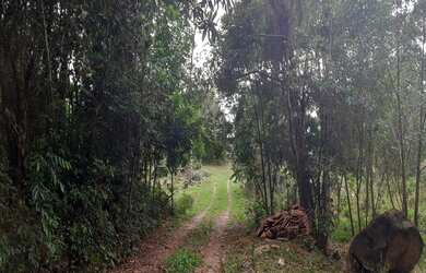 Imagem 5: AREA RESIDENCIAL em NOVA PETRÓPOLIS - RS, Fazenda Pirajá