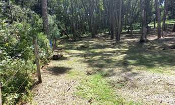 Imagem 5: AREA RURAL em Gramado - RS, Lageana