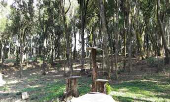 Imagem 7: AREA RURAL em Gramado - RS, Lageana