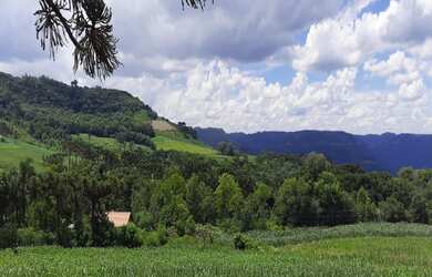 Imagem 7: SITIO RURAL em NOVA PETRÓPOLIS - RS, Linha Brasil
