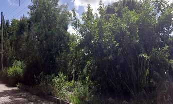 Imagem: TERRENO RESIDENCIAL em NOVA PETRÓPOLIS