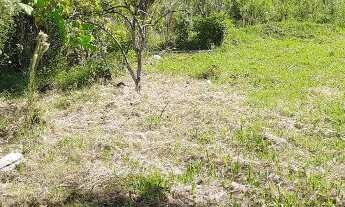 Imagem 3: TERRENO RESIDENCIAL em Picada Café - RS, Floresta