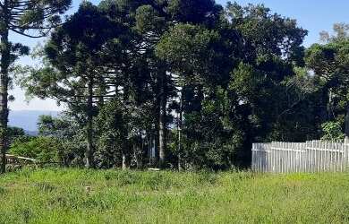 Imagem 3: TERRENO RESIDENCIAL em NOVA PETRÓPOLIS - RS, Vila Olinda