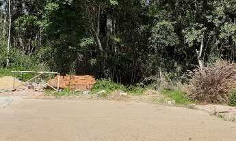 Imagem 4: TERRENO RESIDENCIAL em NOVA PETRÓPOLIS - RS, Germânia