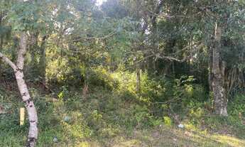 Imagem 1: TERRENO RESIDENCIAL em NOVA PETRÓPOLIS - RS, Germânia