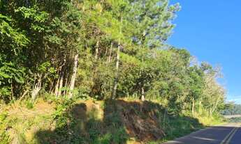 Imagem: AREA RURAL em NOVA PETRÓPOLIS - RS, Linha