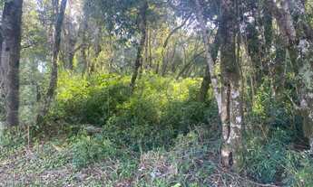 Imagem 2: TERRENO RESIDENCIAL em NOVA PETRÓPOLIS - RS, Germânia