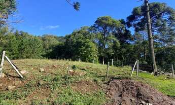 Imagem: TERRENO RESIDENCIAL em NOVA PETRÓPOLIS