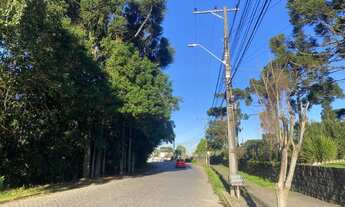 Imagem 3: PAVILHÃO COMERCIAL em Nova Petrópolis - RS, Germânia