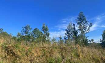 Imagem 3: TERRENO RESIDENCIAL em NOVA PETRÓPOLIS - RS, Linha Brasil