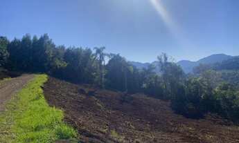 Imagem: AREA RURAL em NOVA PETRÓPOLIS - RS, Stille