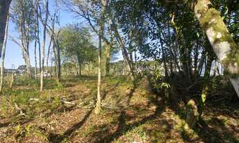 Imagem 2: TERRENO RESIDENCIAL em NOVA PETRÓPOLIS - RS, Germânia