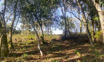 Imagem 3: TERRENO RESIDENCIAL em NOVA PETRÓPOLIS - RS, Germânia